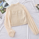 Women Turtleneck Knitted Pullovers