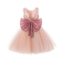 Kids Dress for Girls Birthday Dresses for Party and Wedding Christmas