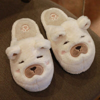 Winter Women's Slippers House Furry Men Home